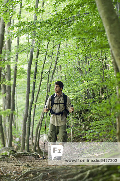 Mann beim Wandern im Wald