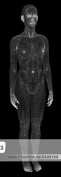 3D-Gitternetz-Modell einer nackten Frau
