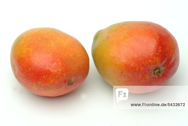 zwei reife Mangos auf weißem Grund - - Frucht Vitamin C Vitamine Tropenfrucht - Sumachgewächs - eine der wichtigsten Obstarten der Tropen