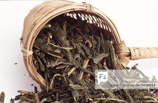 Teeblatt weiß Hintergrund frontal Bambus Puderzuckersieb Tee