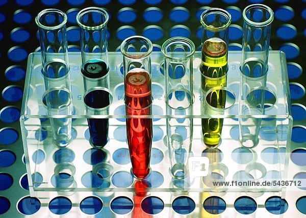 Reagenzgläser mit farbiger Flüssigkeit in einem Plexiglasständer auf einem Lochblech