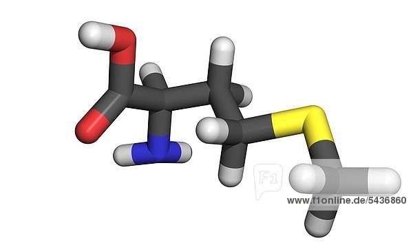 Die Aminosäure Methionin ist eine von 20 Aminosäuren die in Proteinen vorkommt. Methionin ist eine essentielle Aminosäure und kann im Körper nicht hergestellt werden