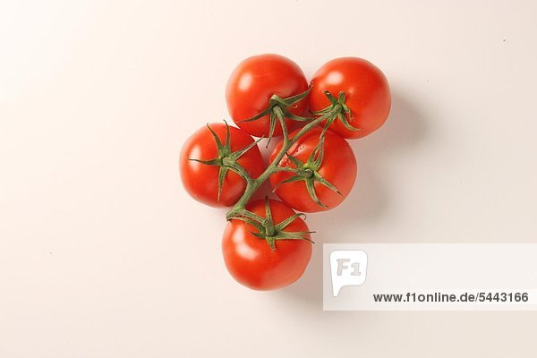 Tomaten - Strauchtomaten