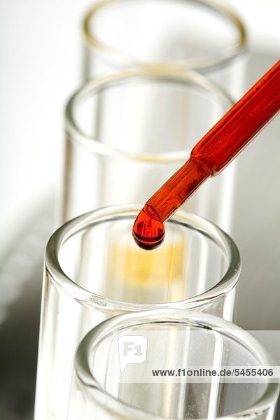 Pipette tropft rote Flüssigkeit in Reagenzglas