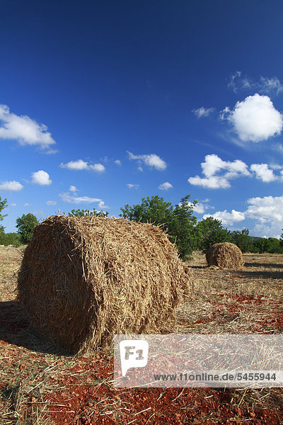 Straw bales in a harvested field  Ibiza  Balearic Islands  Spain  Europe