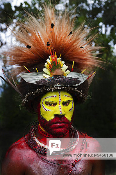 Huli Wigmen from the Tari Valley in the Southern Highlands at a Sing-sing  wearing bird of paradise feathers and plumes particularly Raggiana Bird of Paradise plumes  orange  and breast shield of Superb Bird of Paradise  Mt Hagen  Papua New Guinea  Oceania