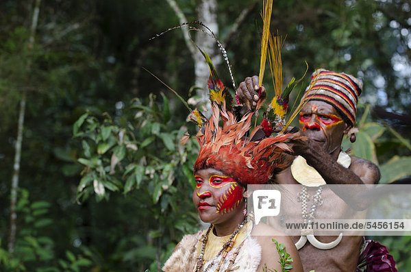 Jika tribal dancer having her headdress prepared  centrepiece is a whole skin of a Blue Bird of Paradise  man is wearing pig tusks  Paiya Sing-sing Western Highlands  Papua New Guinea  Oceania