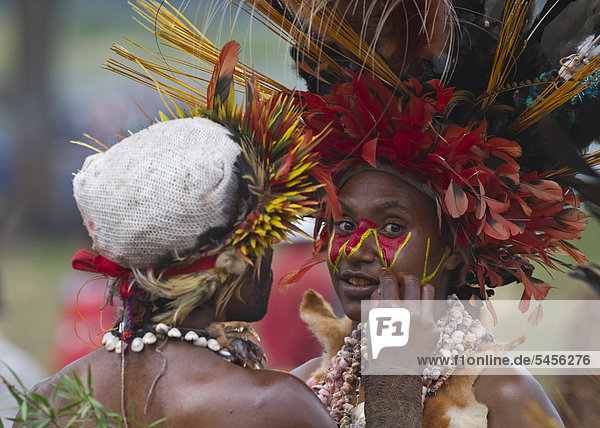 Performer from Western Highlands preparing for the Mount Hagen show  Sing-sing  Western Highlands  Papua New Guinea  Oceania