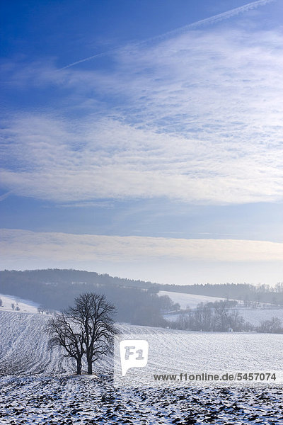 Winterlandschaft bei Knezdub  Bile Karpaty  Naturschutzgebiet Weiße Karpaten  Südmähren  Tschechien  Europa