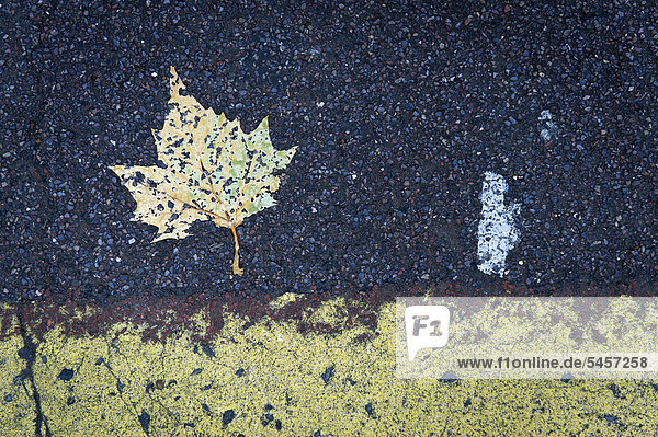 Blatt und Fahrbahnmarkierung Brixton London England Großbritannien Europa