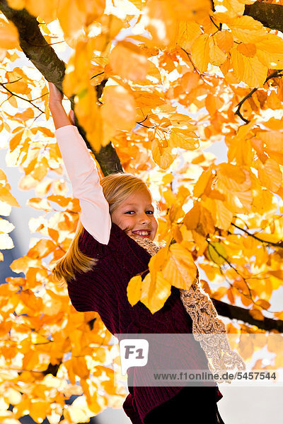 Girl on tree in autumn