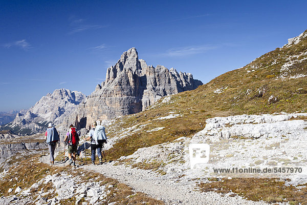 Hikers ascending Mt Paternkofel or Paterno  at the Buellelejoch  Mt Drei Zinnen or Tre Cime di Lavaredo and Mt Cristallo in the back  Sexten  Sesto  Hochpustertal or Alta Pusteria  Dolomites  South Tyrol  Europe