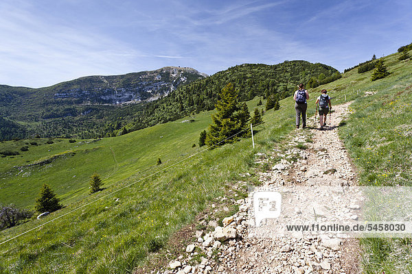 Hikers during the ascent of Monte Altissimo above Nago  Lake Garda region  Monte Altissimo at back  Trentino  Italy  Europe