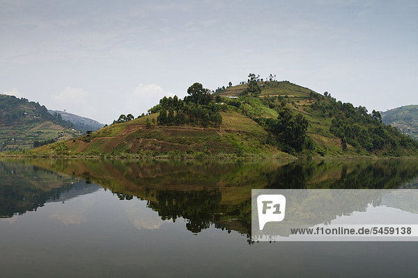 Hügel spiegelt sich in glatter Oberfläche des Bunyonyi-Sees  westliches Uganda  Afrika