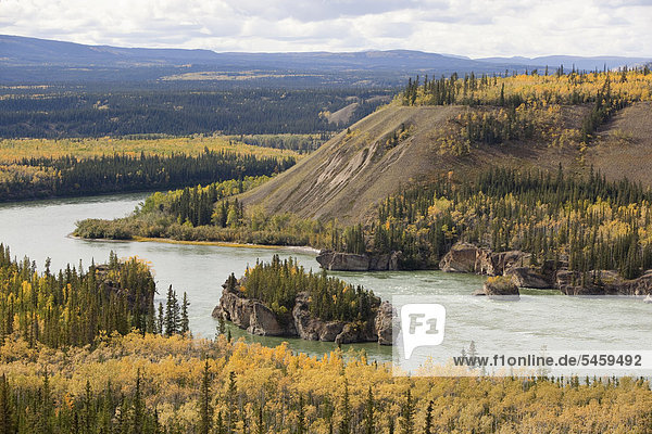 nahe Farbaufnahme Farbe Fluss Laub Yukon Kanada