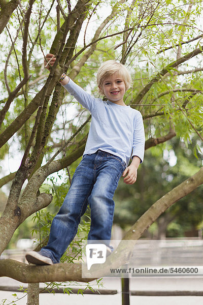 lächeln  Junge - Person  Baum  klettern