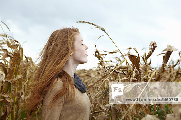 Teenager-Mädchen beim Spaziergang im Maisfeld