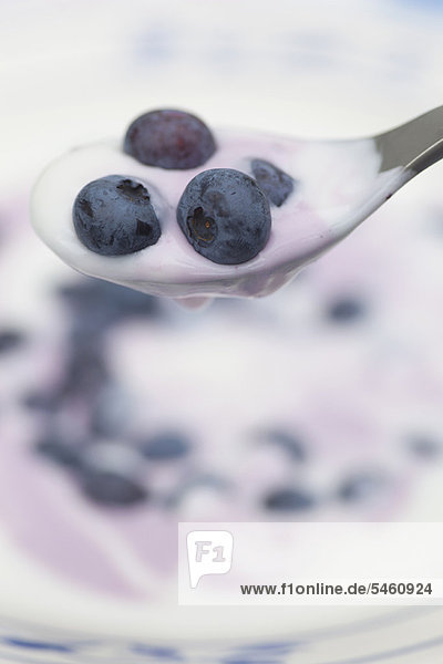Close up of blueberries and yogurt