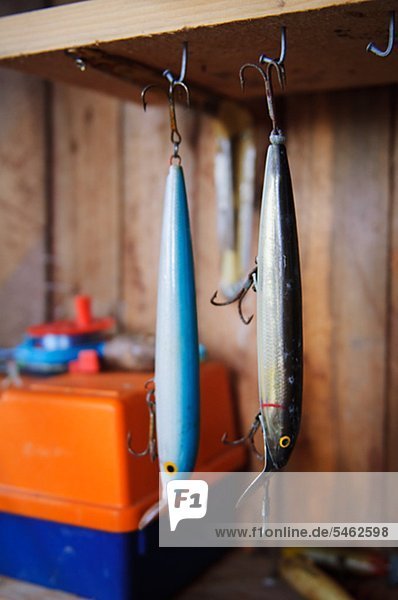 Two fishes hanging from hook