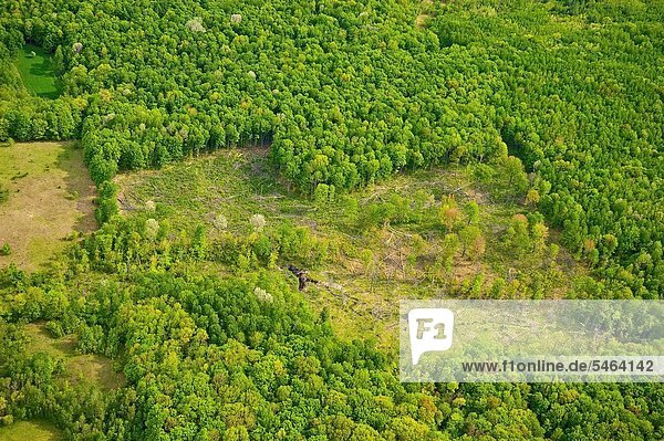 Vereinigte Staaten von Amerika  USA  durchsichtig  transparent  transparente  transparentes  schneiden  Wald  Verbesserung  Ansicht  Lebensraum  Huronsee  Lake Huron  Luftbild  Fernsehantenne  Michigan  Wildtier
