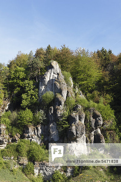 Felsen im Trubachtal bei Ziegelmühle  Fränkische Schweiz  Oberfranken  Franken  Bayern  Deutschland  Europa