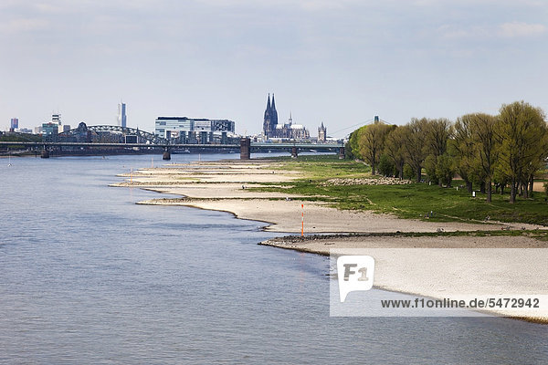 Blick auf Köln bei Niedrigwasser des Rheins zwischen Köln-Rodenkirchen und Köln  Nordrhein-Westfalen  Deutschland  Europa