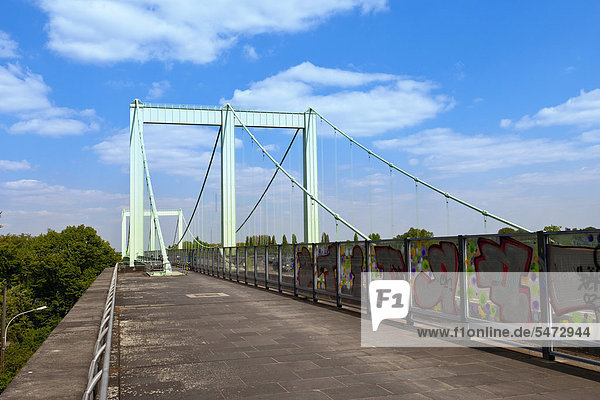 Footpath and cycle track on the Rodenkirchen motorway bridge over the Rhine  Cologne-Rodenkirchen  Cologne  North Rhine-Westphalia  Germany  Europe