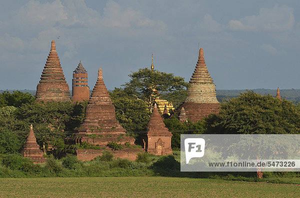 Pagodenfeld  buddhistische Pagoden  Old Bagan  Pagan  Burma  Birma  Myanmar  Südostasien  Asien