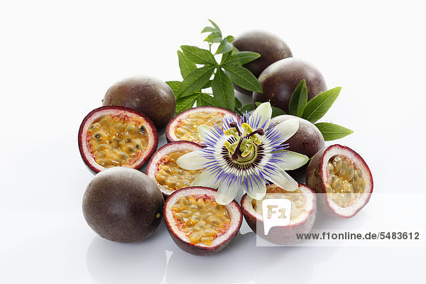 Passionsfrüchte  Maracujas (Passiflora edulis) mit Blüte