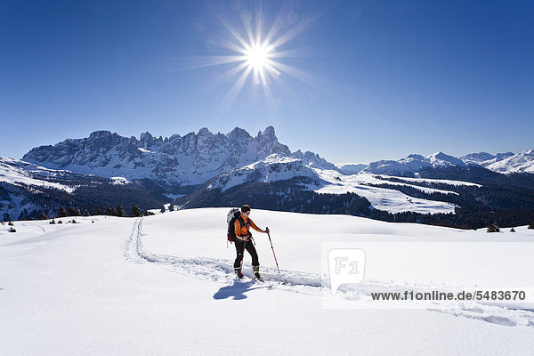 Cross-country skier during the ascent to Cima Bocche Mountain above Passo Valles  with the Palla Group at the rear beside Rolle Pass  Dolomites  Trentino  Italy  Europe