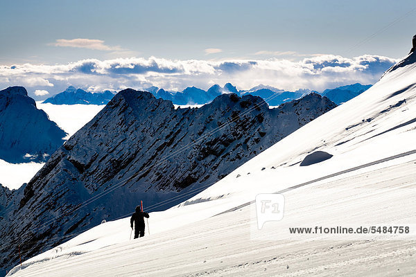 Cross-country skier  Mt Zugspitze region in winter  Alps  Bavaria  Germany  Europe