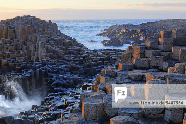 Basaltsäulen  Giant's Causeway  Causeway Coast  County Antrim  Nordirland  Irland  Großbritannien  Europa