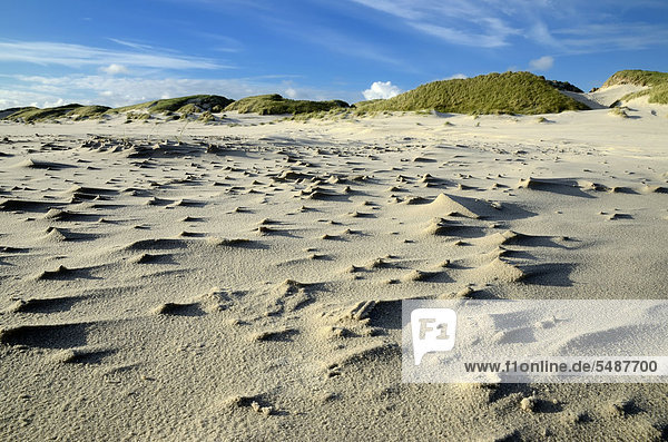 Sandstrukturen vor Dünen  Kniepsand  Nordseeinsel Amrum  Kreis Nordfriesland  Schleswig-Holstein  Deutschland  Europa