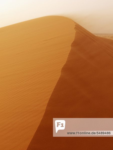 Nordafrika  Marokko  Merzouga  Sanddünen von Erg Chebbi