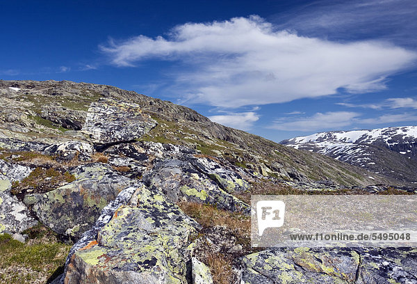 Landschaft beim Berg Røvassvatnan  der See Røvassvatnan  Saltfjellet-Svartisen-Nationalpark  Provinz Nordland  Norwegen  Skandinavien  Europa