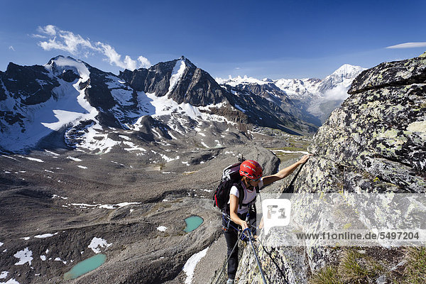 Climbers climbing Tschenglser Hochwand mountain  via the fixed rope route  above Duesseldorfhuette mountain lodge in Sulden  Hoher Angulus mountain  Vertainspitze mountain and Koenigsspitze mountain at the back  Suldental valley  province of Bolzano-Bozen  Italy  Europe