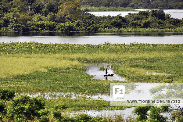Marshy landscape in the Pantanal wetland  Corumba  Rio Paraguay  Brazil  South America