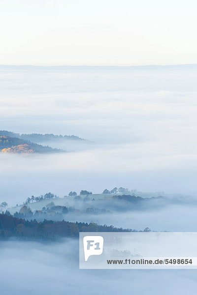 Landschaft im Nebel bei Balingen  Schwäbische Alb  Baden-Württemberg  Deutschland  Europa