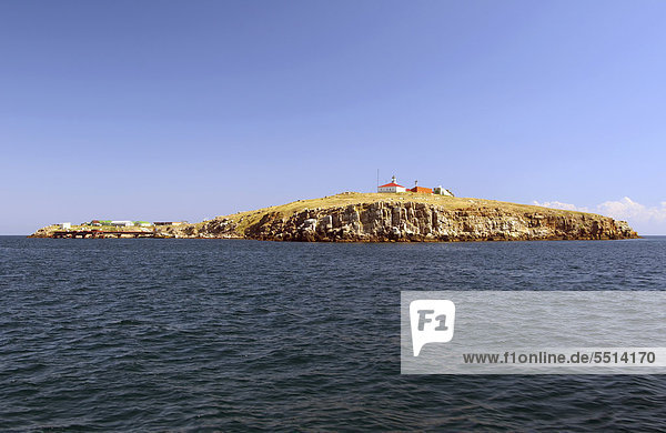 Insel Zmiinyi  Schlangeninsel  Schwarzes Meer  Odessa  Ukraine  Osteuropa  Europa