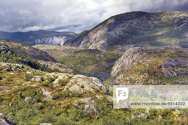 Storskogdalen Tal  Rago-Nationalpark  Nordland  Norwegen  Skandinavien  Europa