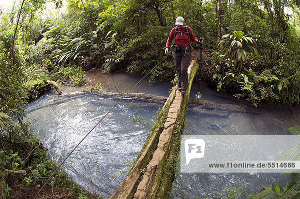 Hiker crossing the Rio Celeste on a wooden bridge  Tenorio National Park  Guanacaste  Costa Rica  Central America