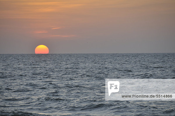 Sonnenuntergang über dem Meer  Negombo  Sri Lanka  Asien  ÖffentlicherGrund