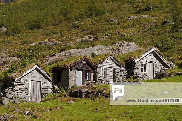 Dach Hütte Europa klein grün Tal Norwegen Gras