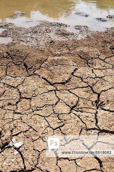 Auswirkungen des Klimawandels  ausgetrockneter Boden am Rand einer versiegenden Wasserstelle  Gran Chaco  Provinz Salta  Argentinien  Südamerika