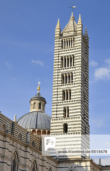 Dom von Siena  auch Duomo Santa Maria Assunta  Siena  Toskana  Italien  Europa