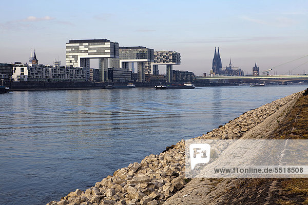 Blick auf den Rhein bei Niedrigwasser  Köln  Nordrhein-Westfalen  Deutschland  Europa  ÖffentlicherGrund