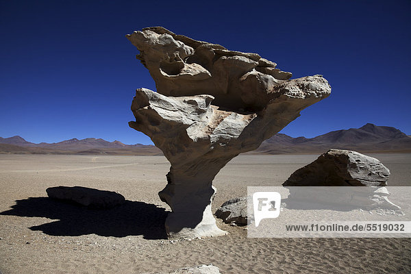¡rbol de Piedra  Baum aus Stein  Siloli Wüste  Alti Plano  Potosi  südliches Bolivien  Südamerika