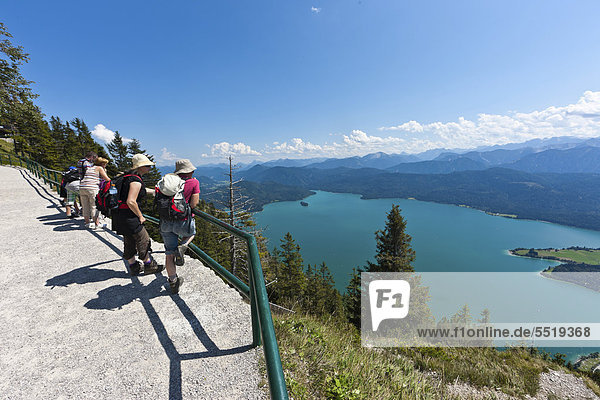 Hikers taking in the views from Mt Herzogstand across Walchensee Lake district of Bad Toelz-Wolfratshausen Upper Bavaria Bavaria Germany Europe PublicGround