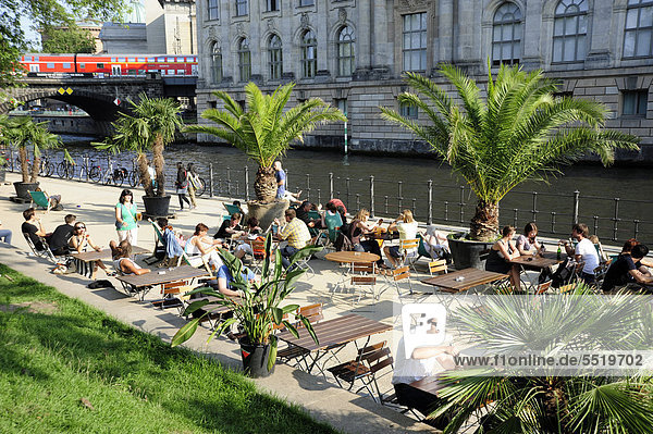 Spree river and Museumsinsel  Museum Island  bar cafe terrace with palm trees at the Spreeufer riverside  Berlin Mitte  Germany  Europe