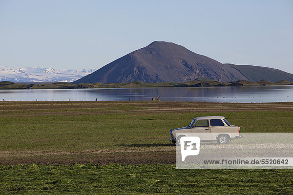 Trabant 601 auf Wiese am Myvatn  Island  Europa